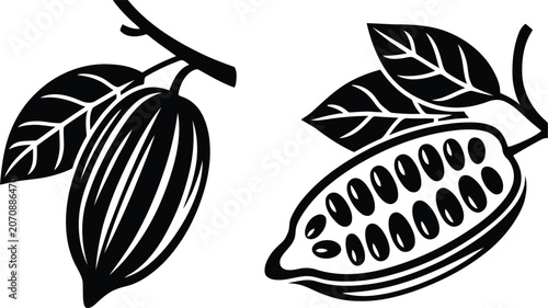 Foto Black and white cacao fruit and split vector illustration.
