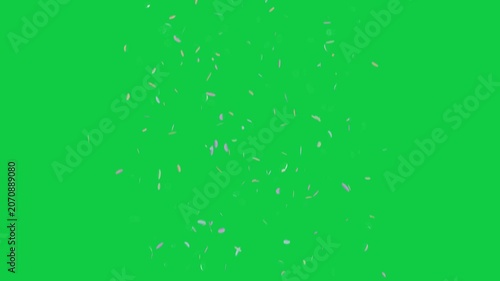 Stream spawning above, falling, rotating, dispersing, showing pastel pearl sheen on transparent bg