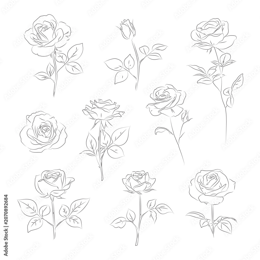 Obraz premium Rose Line Art Clipart Bundle, Minimal Botanical Rose Drawings, Elegant Floral Outline Collection