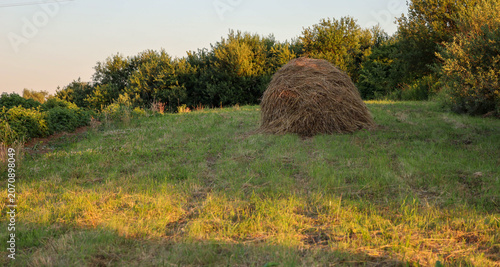 Foto A large haystack of dry hay stands in the middle of a green meadow against a background of dense bushes and trees