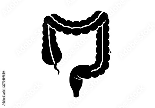 A totally perfect and smooth black silhouette of the perfect human large intestine