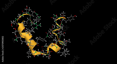 Amylin, glucoregulatory peptide hormone molecule. Islet amyloid polypeptide, IAPP, pancreatic hormone, peptide hormone, alpha-helix secondary structure ribbon, black background. 3D render