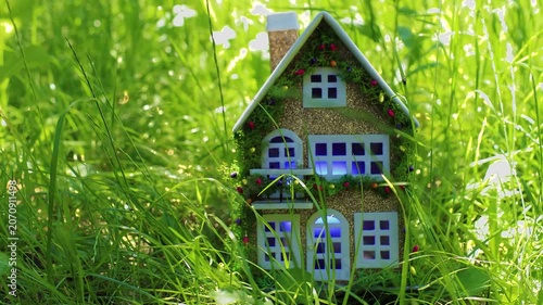 Among the dense greenery there is a beautiful decorated house