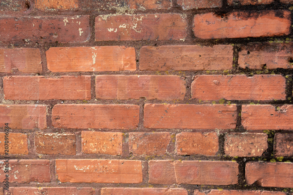 Fototapeta premium Aged Red Brick Wall with Mortar Lines Texture Closeup Abstract Background