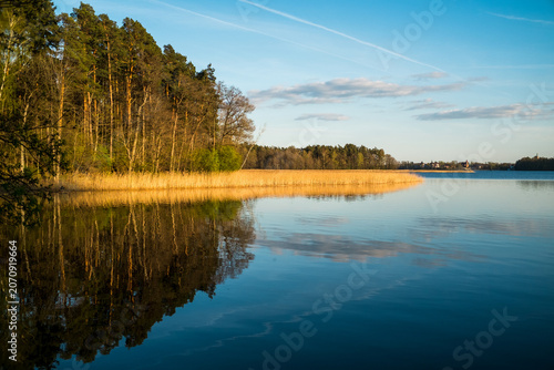 reflection of trees in water lake in Poland , Mazurian