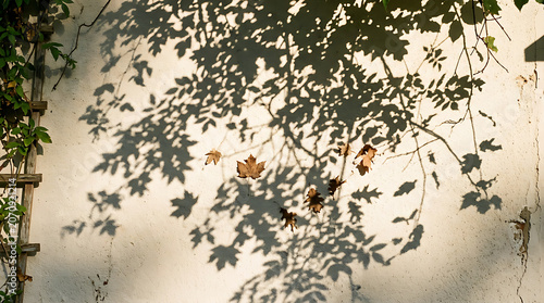 Autumn leaves casting shadows on a textured white wall