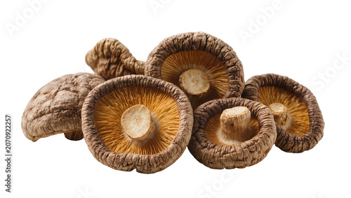 Obraz na plátně Isolated group of savory dried shiitake mushrooms, a popular culinary ingredient