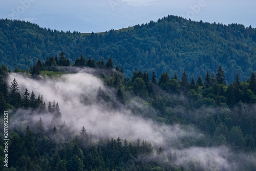 Blue Hour Mist Over Mountain Forest Landscape After Sunset.