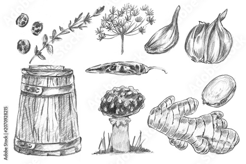 Fotografie Oak barrel, fly agaric, garlic, chili pepper, ginger, dill, cloves, and peppercorns