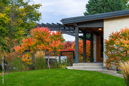 Фотография Tiger's Eye Sumac trees and shrubs surround a contemporary home with beautiful color during the Fall or Autumn season