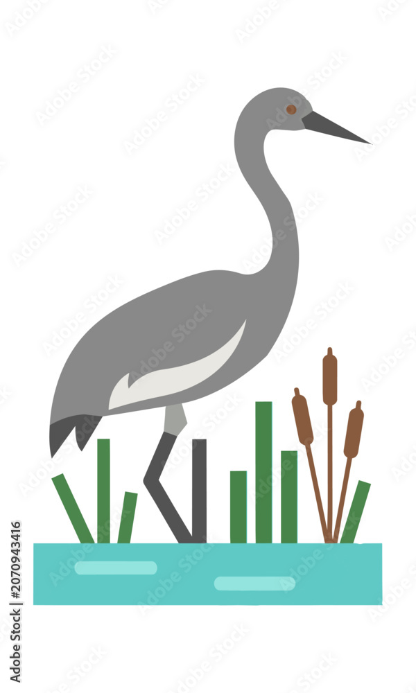 Obraz premium Minimalist side view of a grey crane standing in a shallow pond with stylized reeds and cattails on a white background nature and wildlife concept