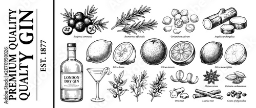 Engraved illustration set featuring botanicals and ingredients for premium quality gin