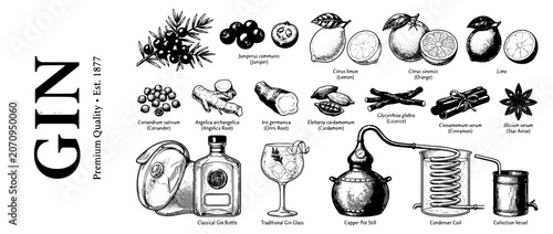 Engraved vector illustration set showcasing gin ingredients, tools, and traditional methods of production
