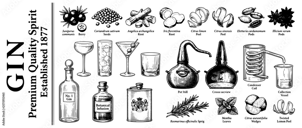 Obraz premium Engraved illustrations showcasing the art of gin production and its exquisite ingredients over time