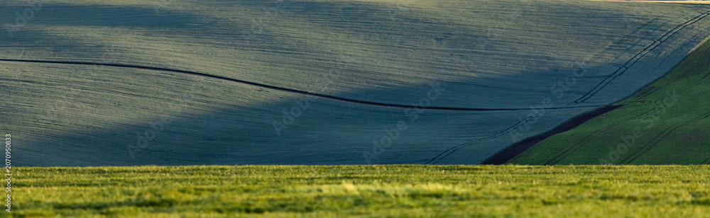 Fototapeta premium rolling green fields in early summer in Czech Moravia