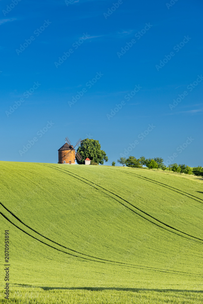 Obraz premium rolling green fields in early summer in Czech Moravia
