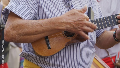 Folk musician focused on playing a traditional Canary Islands timple with experienced hands during a cultural romería celebrating island heritage and music