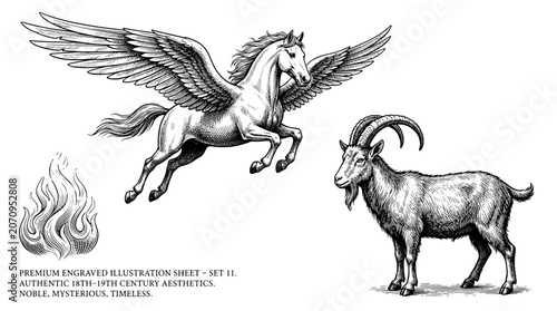 Canvastavla Engraved illustration of a majestic winged horse and a proud goat inspired by 18