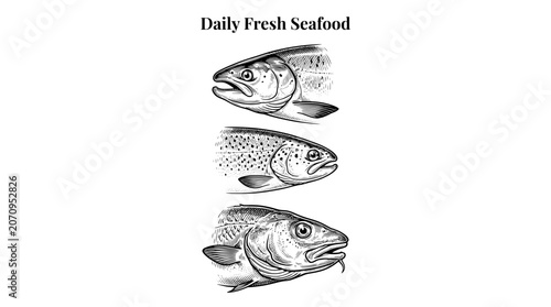 Schilderij op canvas Engraved illustration set showcasing various fish designs for seafood enthusiast