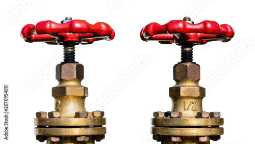 Tableau sur toile Isolated two vintage brass gate valves with red handwheels for industrial water