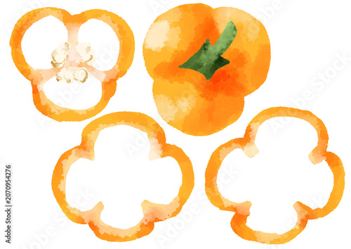 オレンジパプリカのイラスト　手描き　水彩風