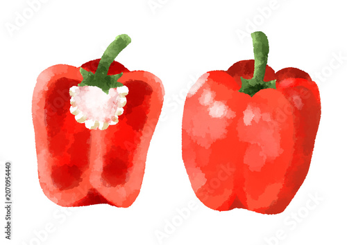 赤パプリカのイラスト　手描き　水彩風