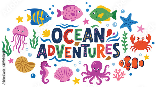Photography Ocean adventures aquatic animals and marine life illustration.