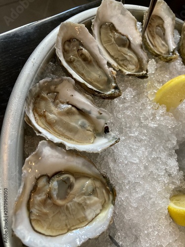 raw oysters on the half shell served on a bed of crushed ice