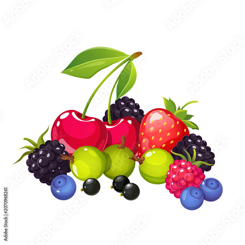 Fresh Summer Berries Collection Isolated on White Background, Vector Cartoon Illustration of Strawberry, Cherry, Raspberry, Blueberry, Blackberry, Gooseberry and Black Currant