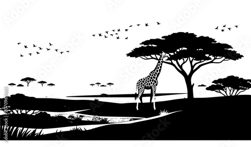 Photography Panoramic African Grassland Vector with Giraffe Browsing Acacia Tree