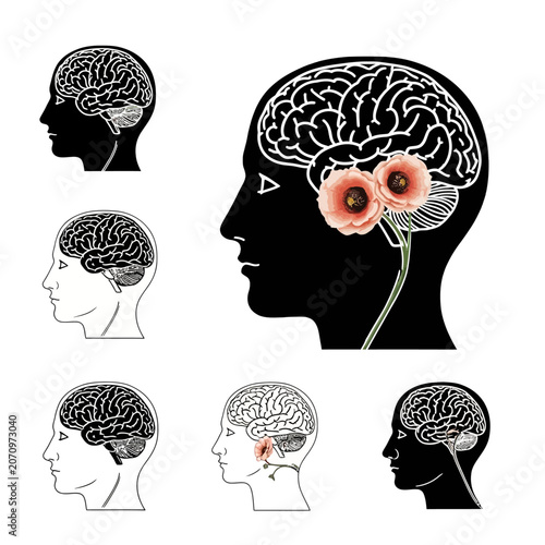 Brain with flower in head profile.