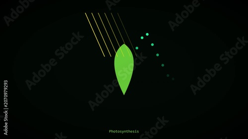 Photosynthesis process animation: scientific leaf energy conversion motion biology science education