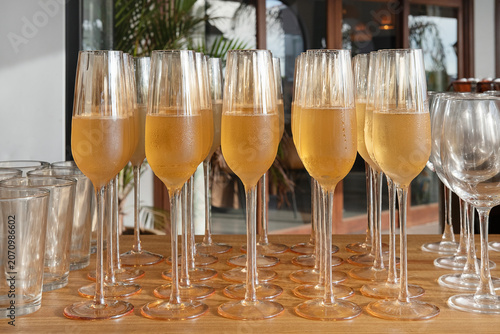 Symmetrical rows of chilled champagne flutes filled with sparkling wine or cava, display of elegant glassware and refreshing beverages served as welcome drinks at a celebration or a wedding reception