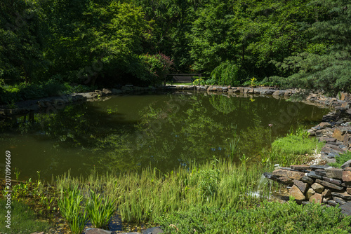 Artificial inlet into a pond.