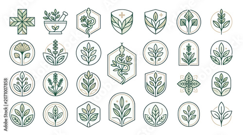 Collection of herbal pharmacy and natural medicine botanical icons
