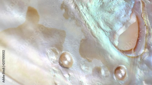 pearl texture background in pastel tones. seashell texture with soft gradients.luxury texture with rainbow highlights, organic pattern and shimmering light. 4k footage