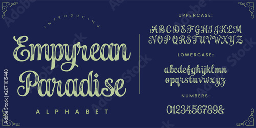 Obraz na plátně EMPYREAN PARADISE beautiful script typography alphabet preview artistic handwrit