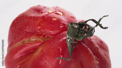 Close-Up of a Ripe Tomato isolated on white