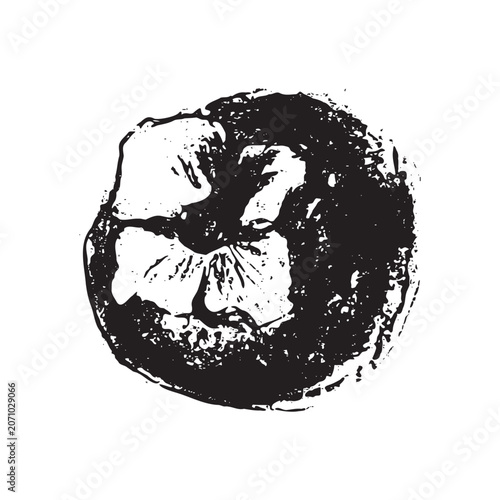 Hand drawn persimmon fruit vector illustration. Black and white botanical artwork with textured engraving style. Isolated fruit element for packaging, labels, branding, patterns and food design.