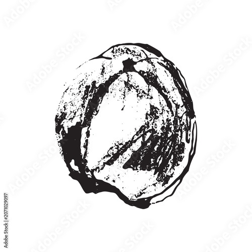 Hand drawn persimmon fruit vector illustration. Black and white botanical artwork with textured engraving style. Isolated fruit element for packaging, labels, branding, patterns and food design.