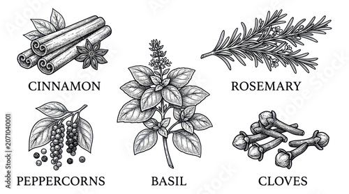 Bild auf Leinwand Herbs and spices food ingredients.