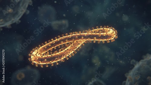 Microscopic view of EBOLA FILOVIRUS filament suspended inside a dark teal biological environment showing medical research on viral structure and infection