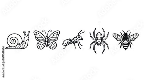 Tableau sur toile Line Art Insects and Snail Collection: Butterfly, Ant, Spider, Bee