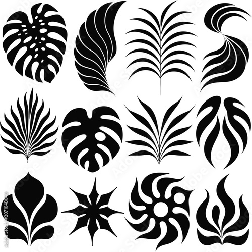 Tropical Monstera Palm Leaf Silhouette Collection