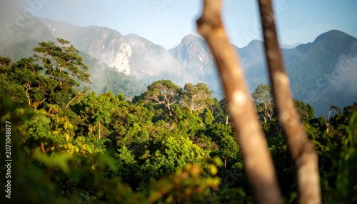Misty Mountain Landscape with Lush Greenery.