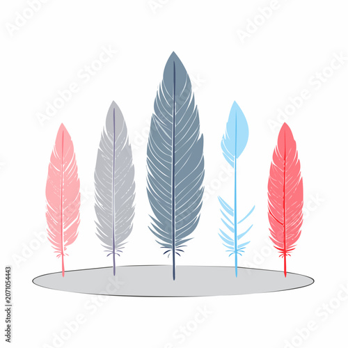 Group of colorful feathers on white background
