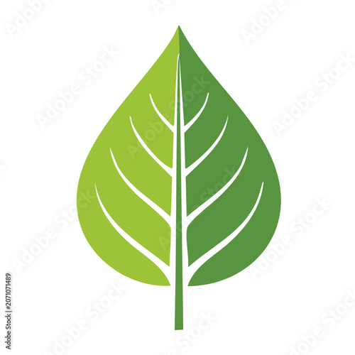 Green leaf icon with white veins on white background