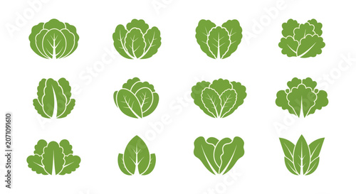 Foto Collection of Green Leafy Vegetable Icons Set.