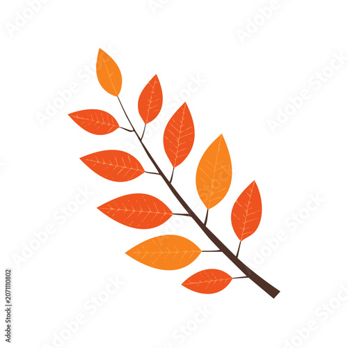 Autumn leaves on a branch vector illustration