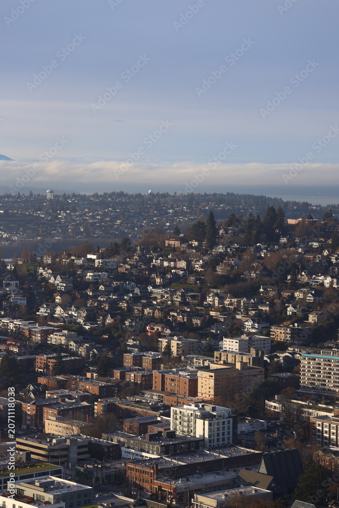 Fototapeta premium aerial view of the city
